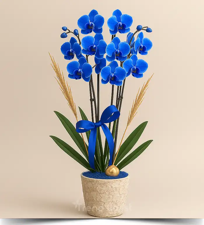 Anneler Günü çiçek koleksiyonu TrendFlorist